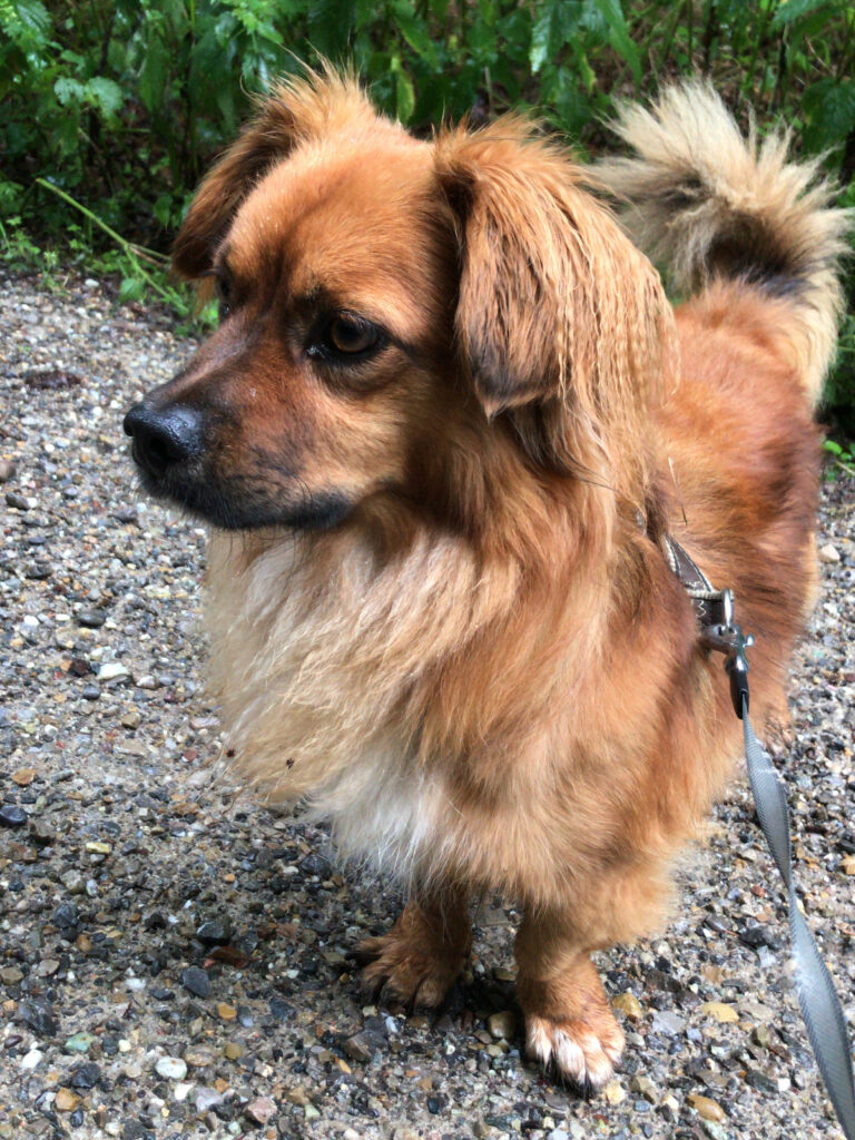 B71773E8-0D7D-4066-82F9-5F1BB8FBB5F7_2